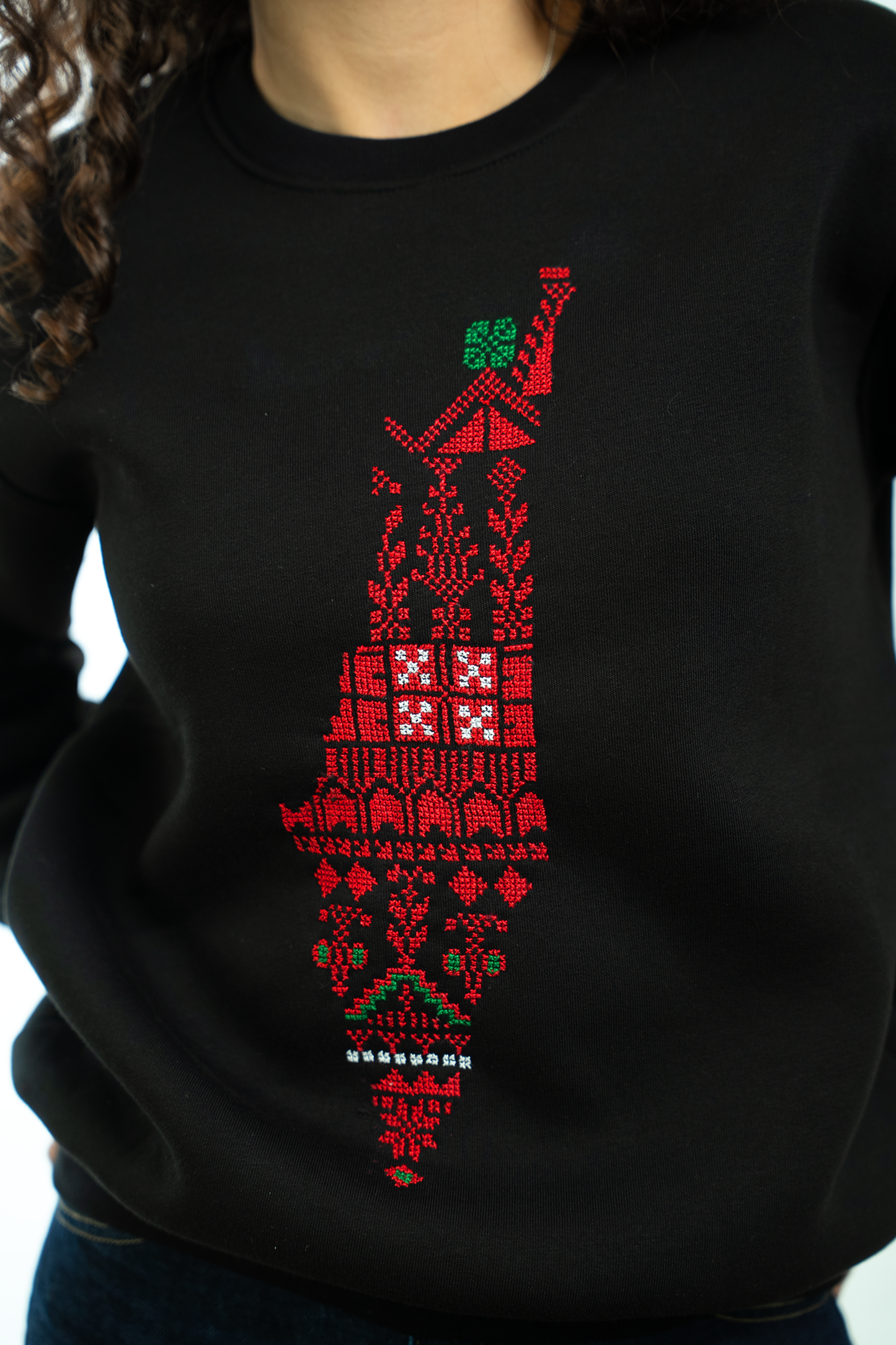 Falastin sweatshirt