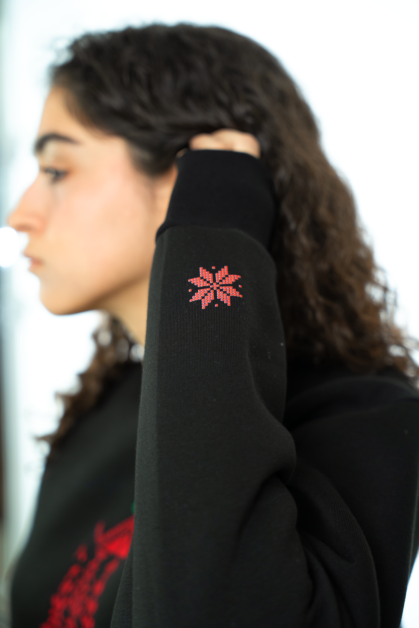 Falastin sweatshirt